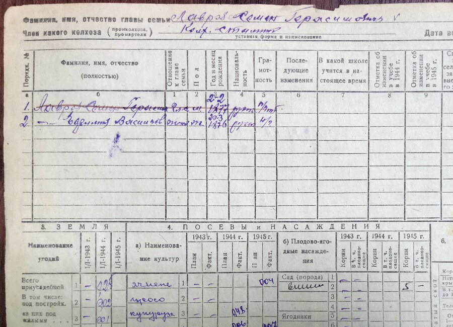 Разница в годах в похозяйственной книге